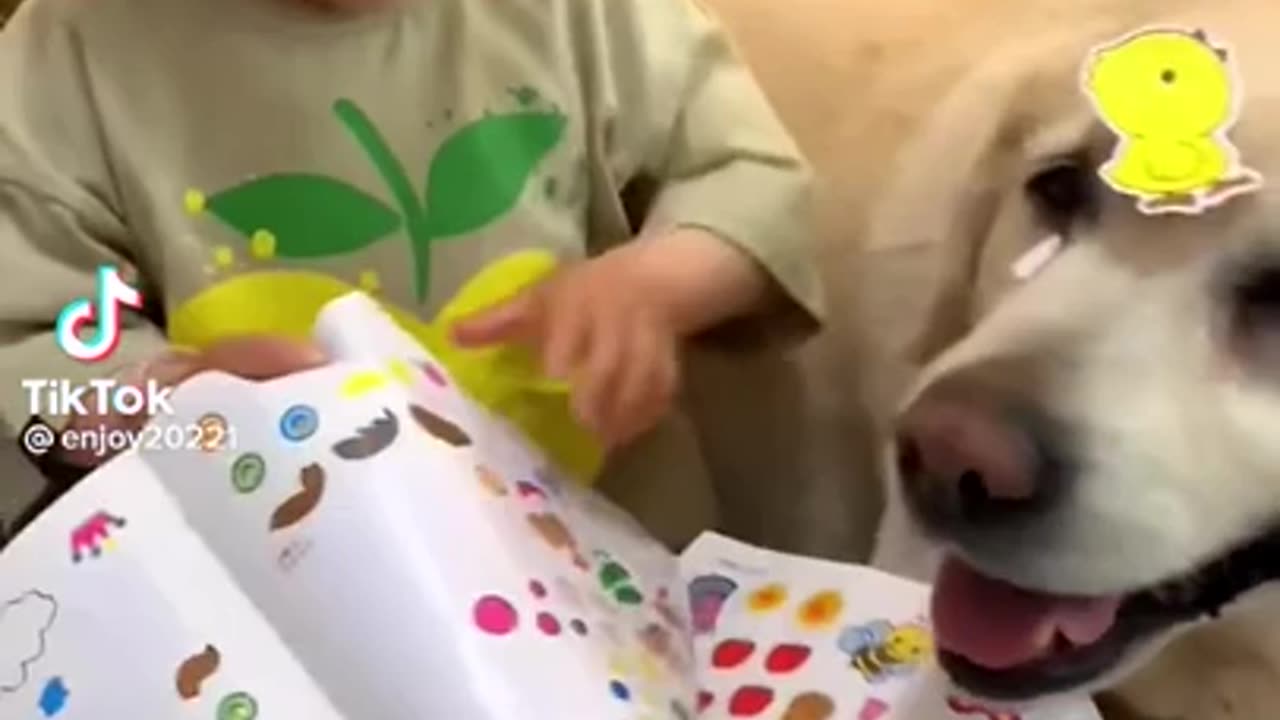 THIS PUP THOUGH HAS THE PATIENCE🤣 OF A SAINT
