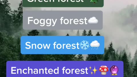Foggy forest