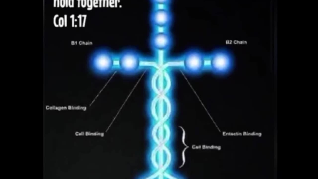 JFK Jr and Trump: You were always the Storm