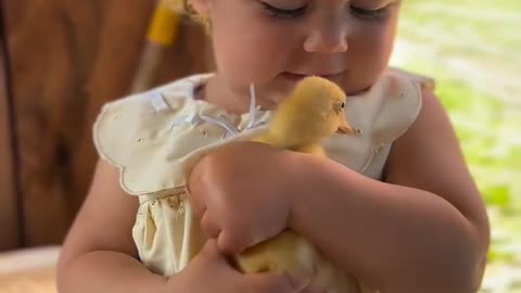 🐣♥️