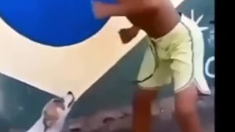 human and Animals