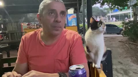Friendly Feline Wants to Feist