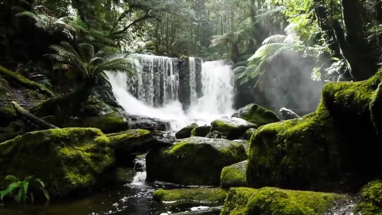 Australia's Top 10 Tourist Attractions: Travel Video