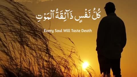 Quran tilawat