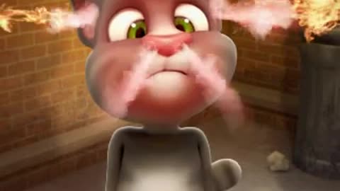 funny cat