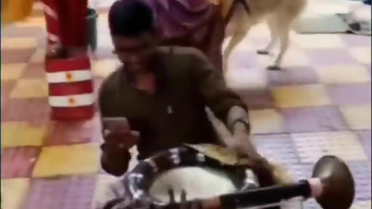 ANIMALS HAPPY