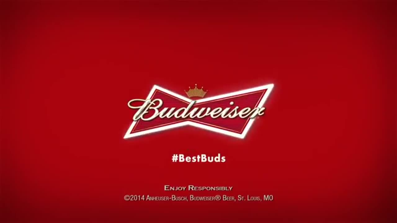 2014 Budweiser Puppy Commercial