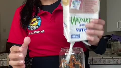 Saludos, me gustan tus videos