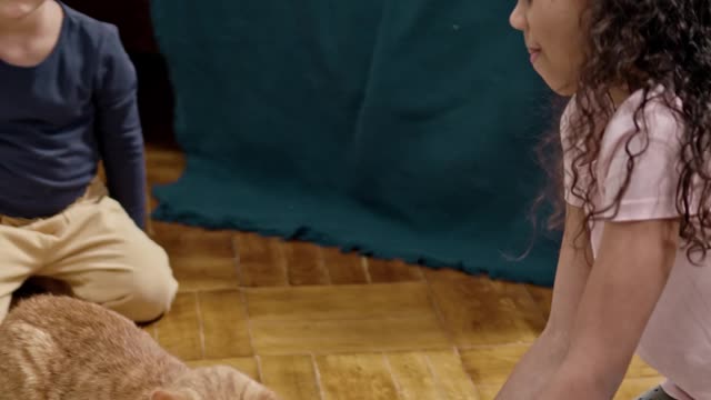 Kids Playing With Their Cat On A Skateboard