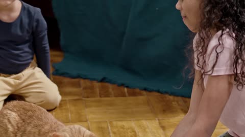 Kids Playing With Their Cat On A Skateboard
