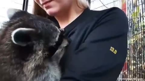 The Purest Love That Ever Lived And Continues To live......Animals Love For Mankind.