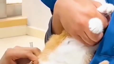 Injection 💉💉💉 😃😃😃