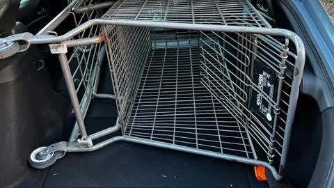 You can fit a shopping cart in the trunk