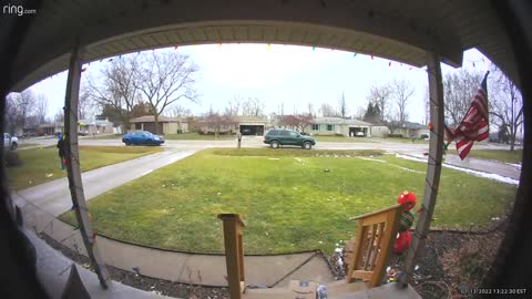 Canvasser Has a Conversation with the Dog