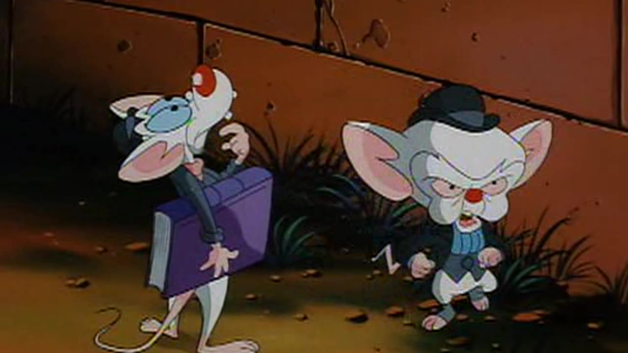 Pinky e o Cerebro - Temporada 01 - Episodio 10 - A Volta ao Mundo