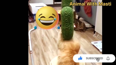 The end 😅 try not to laugh 🤣 funny video
