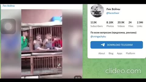 Babies in cages in Gaza