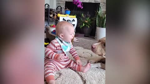 Babies got mad lol