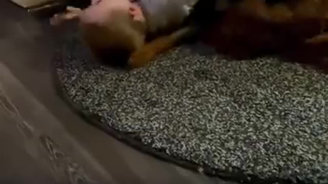 Wholesome - Kid is not feeling lonely because his best friend is there to play
