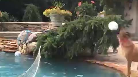 TRY NOT TO LAUGH
