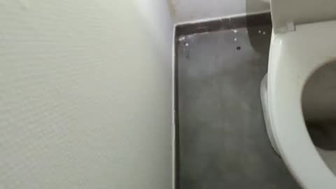 2023-04-26 (3) - état des lieux dans 5 minutes - Twitch Decheterie