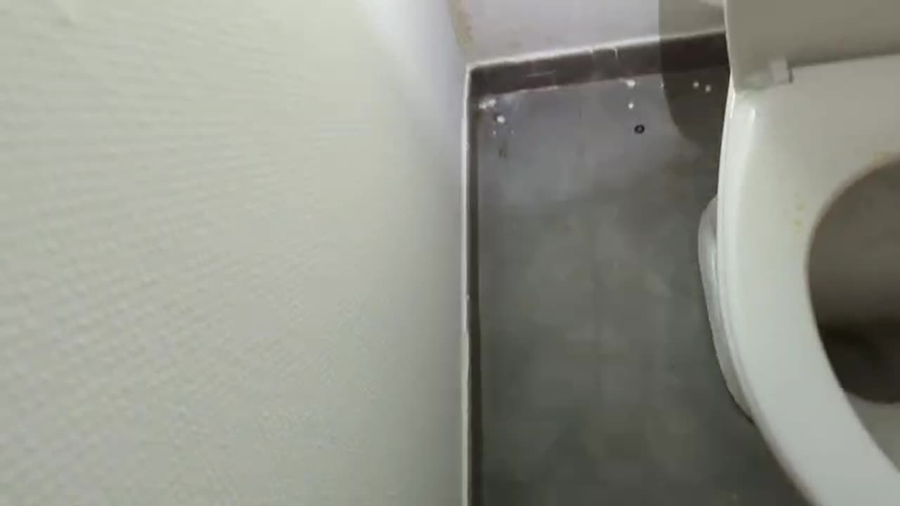 2023-04-26 (3) - état des lieux dans 5 minutes - Twitch Decheterie