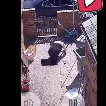 Series 2 Episode 90 🤣😂🤣 fails funny #funnyreels #funnyvideos #failscompilation #fails