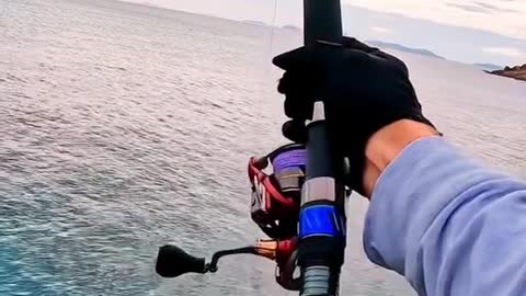 Whaaaaaackkkked it! What you think this fish is