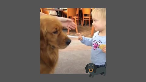 LOVING CUTE BABIES AND DOGS FUNNY VIDEOS