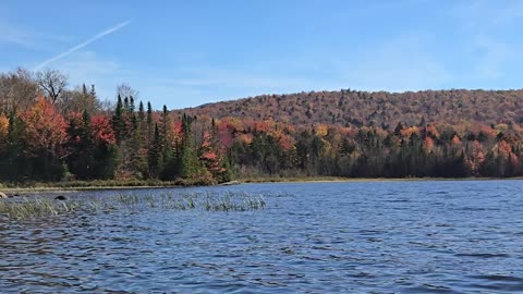 Fall colors on cedar river flow ny