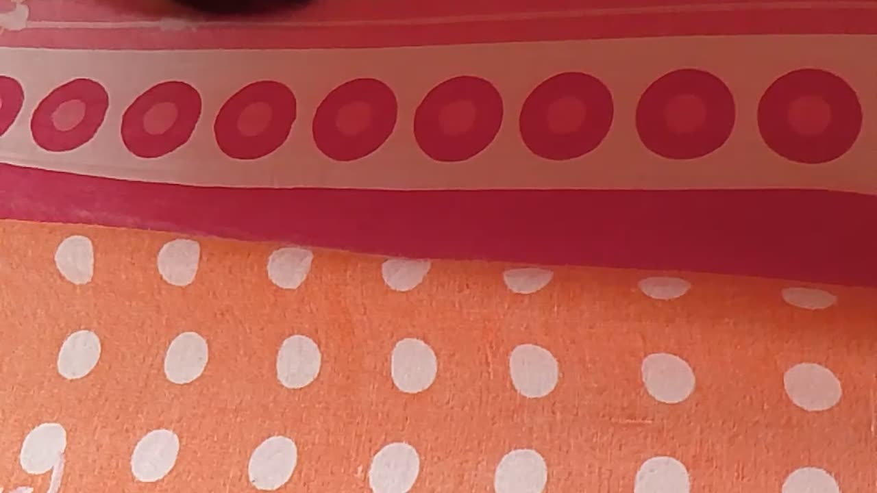 Cat babies playing in bed