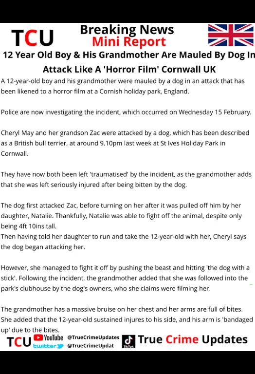 12 Year Old Boy & His Grandmother Are Mauled By Dog In Attack Like A 'Horror Film' Cornwall UK