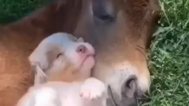 Music Video Dark to Light