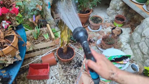 2023-03-31 (14) - Balle perdue - Twitch Triskelina (clip)