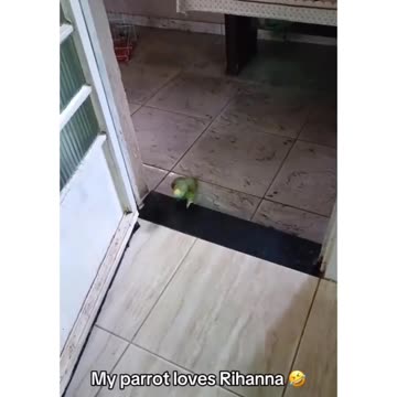 rihanna been real quiet since this dropped…