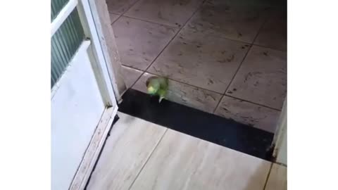 rihanna been real quiet since this dropped…