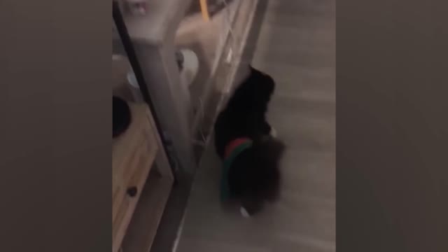 TRY NOT TO SCREAM | Pranks
