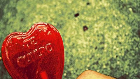 Al cielo le robe una estrella - Raul Abramzon