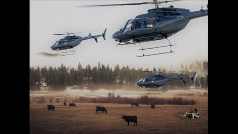 William "Bill" Cooper and Linda Thompson (1993) - Black Un-Marked Helicopters and Cattle Mutilations
