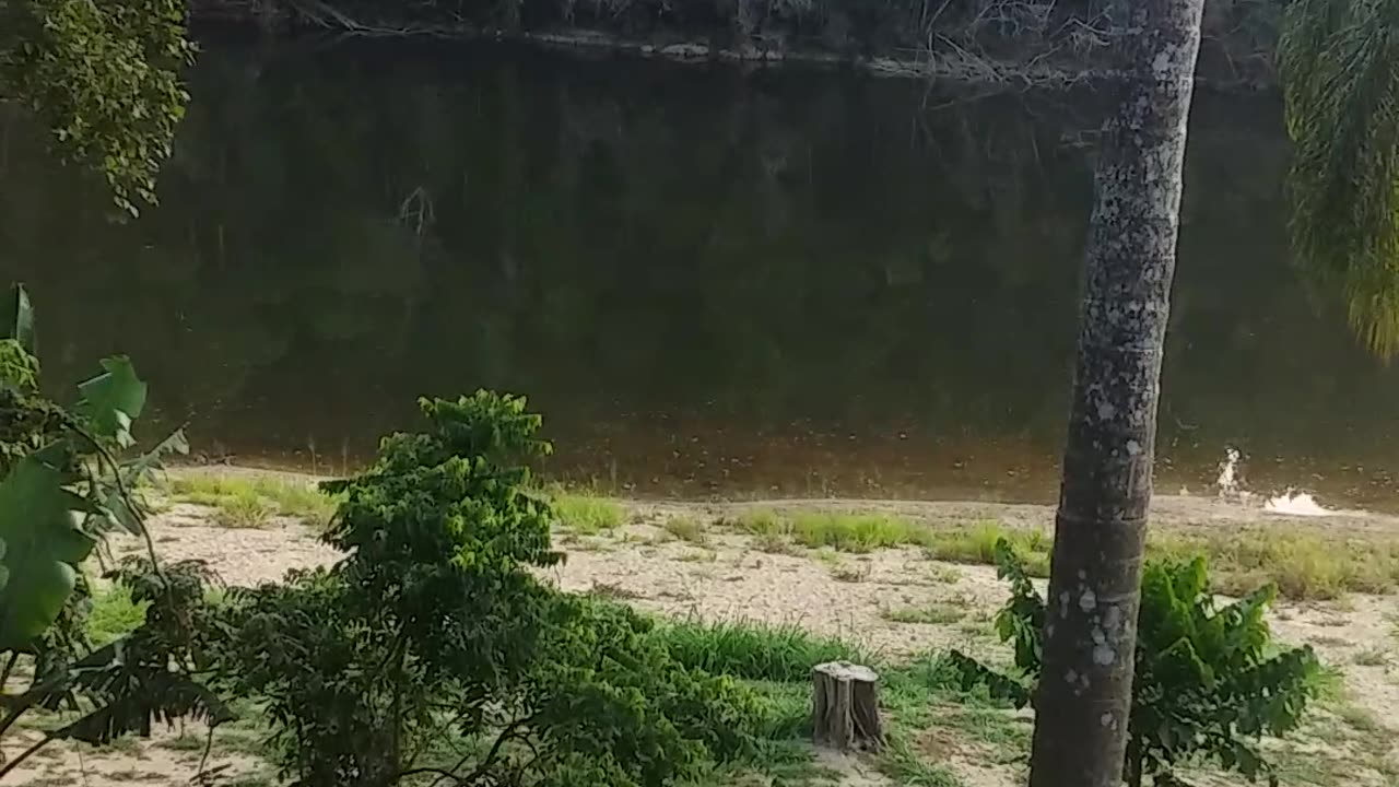 13.11.2024 The Barron River, Kuranda