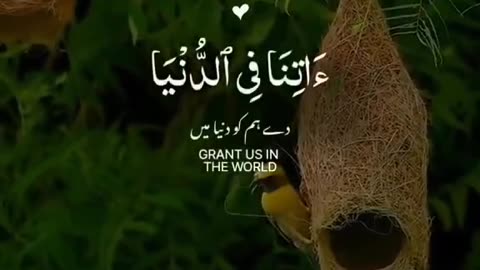 Quran #quran #quranrecitation #islam #ayat #deen #englishsubtitle