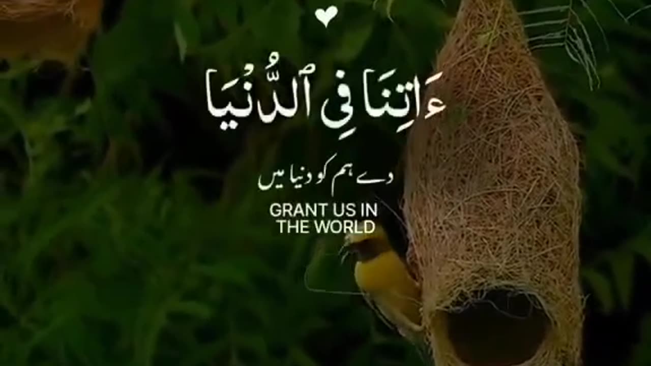 Quran #quran #quranrecitation #islam #ayat #deen #englishsubtitle