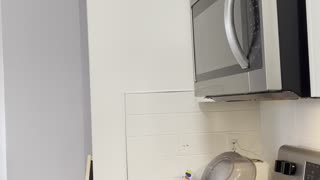 How guys cook for their first time