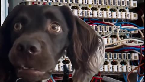 WHEN I HAVE TO TRAIN THE NEW HIRE ON THE JOB BUT I DON’T HAVE A CLUE😮 MYSELF ON WHAT TO DO