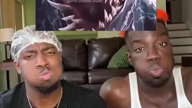 funnyvideos