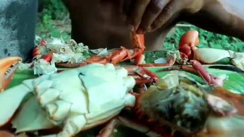 Dig crabs for food
