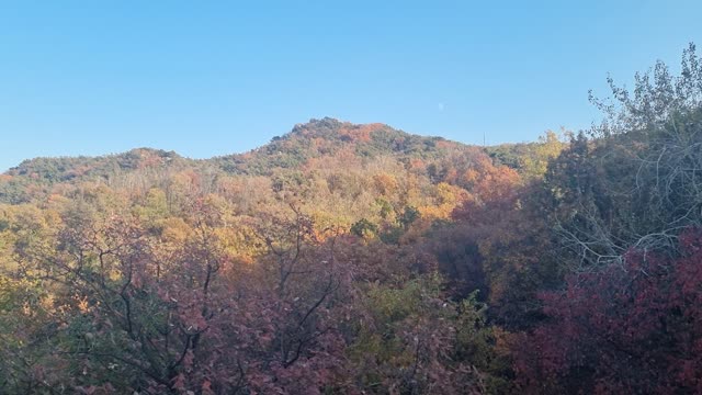 유튜브 차단이 풀려도 럼블 계정 기억해주세요.