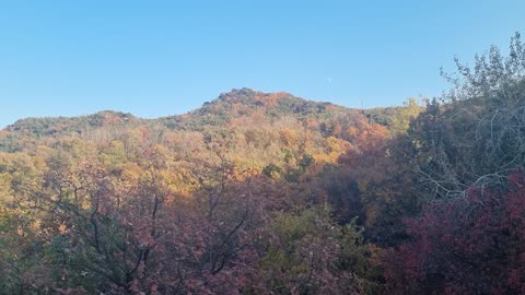 유튜브 차단이 풀려도 럼블 계정 기억해주세요.