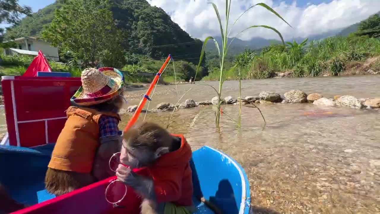 Monkey Baby Bim Bim and Obi go fishing on the boat and meet SHARK-4