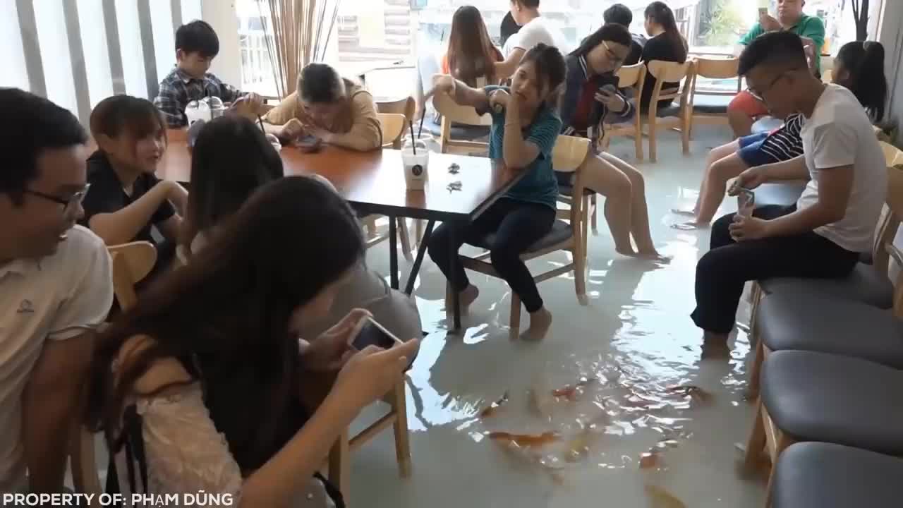 Eat At This Restaurant While Fish Swim Around Your Feet...